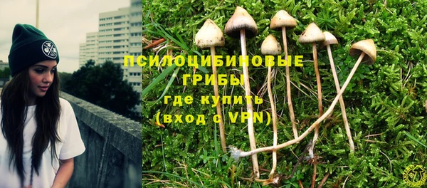 прущие крисы Алексин