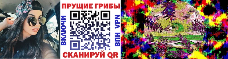 Псилоцибиновые грибы Psilocybe  дарнет шоп  Чаплыгин 